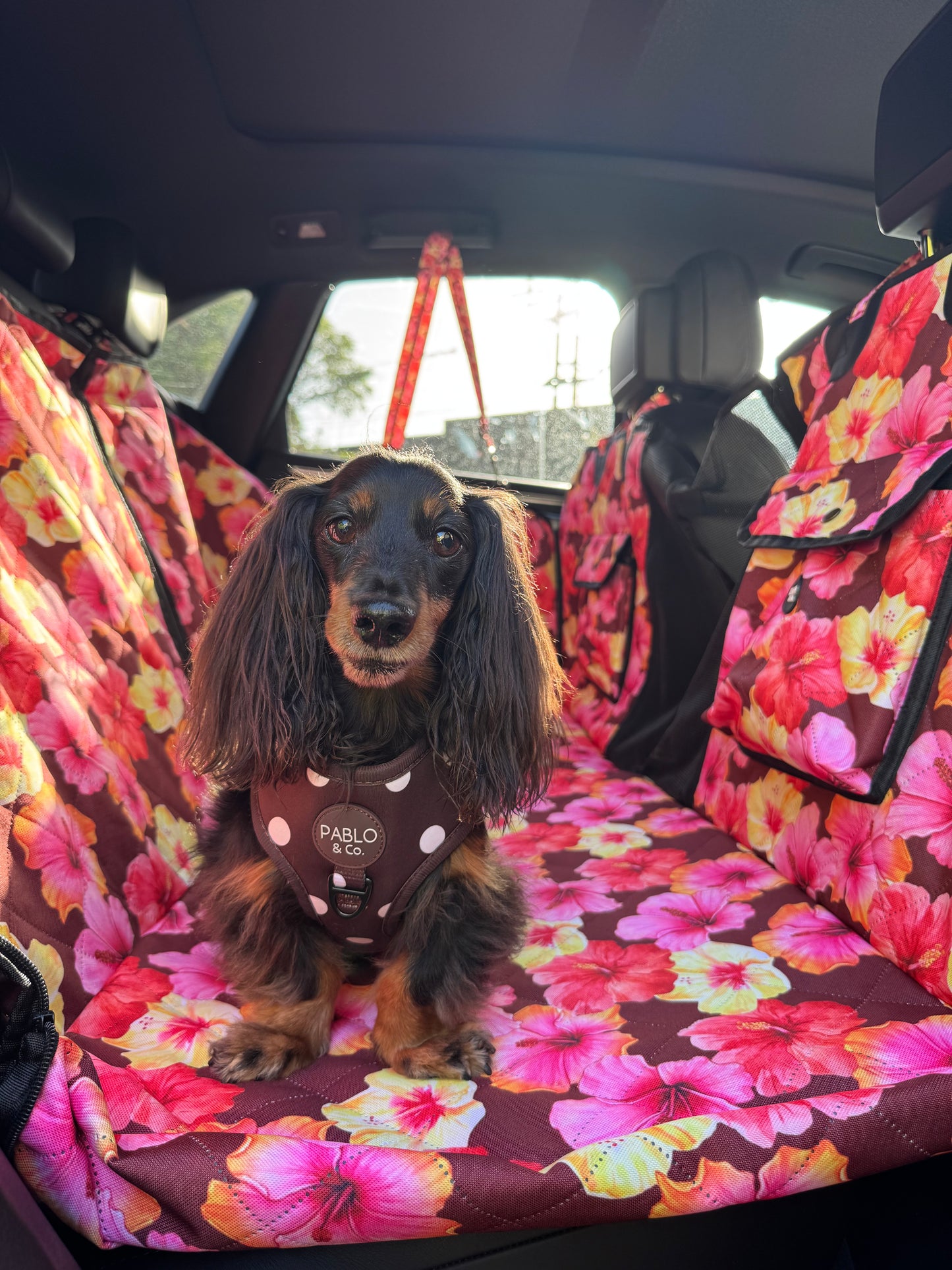 Hibiscus: Deluxe Hard Base Hammock Car Seat Cover