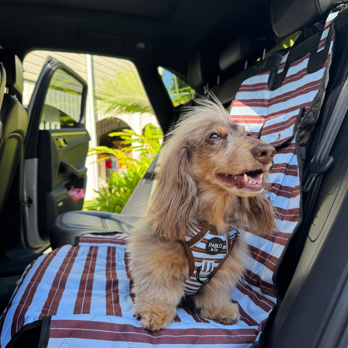 Sunday Stripes: Deluxe Single Car Seat Cover