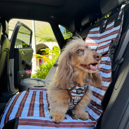 Sunday Stripes: Deluxe Single Car Seat Cover