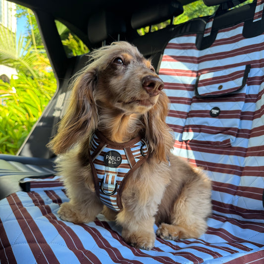 Sunday Stripes: Deluxe Single Car Seat Cover