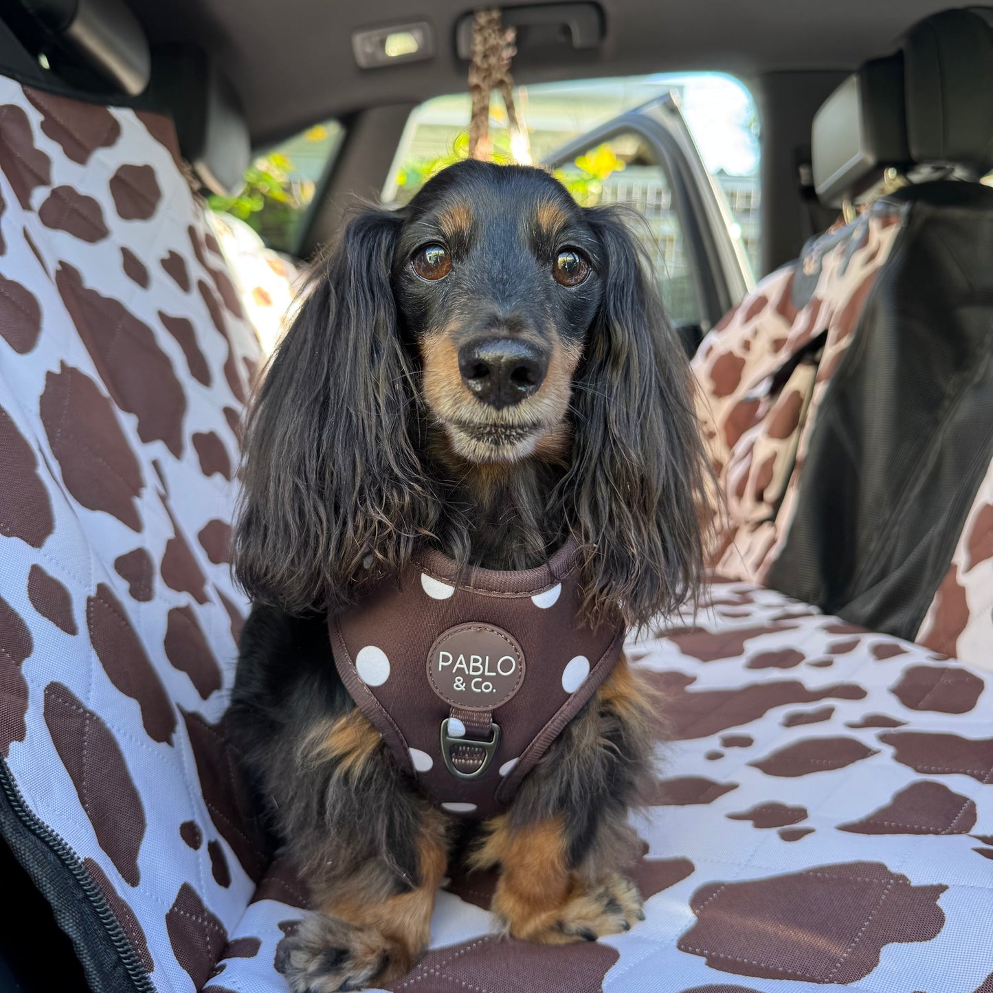 Rodeo: Deluxe Hard Base Hammock Car Seat Cover