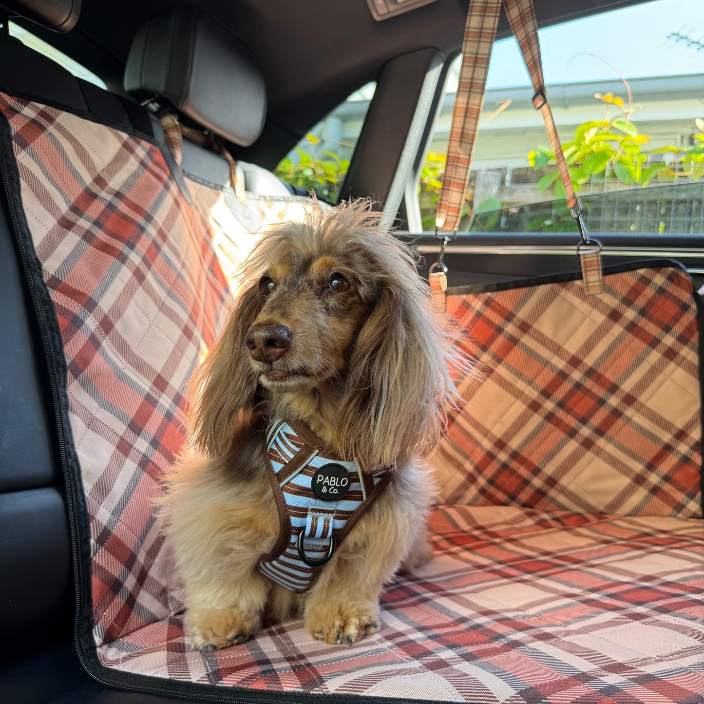 Kensington: Deluxe Hard Base Hammock Car Seat Cover