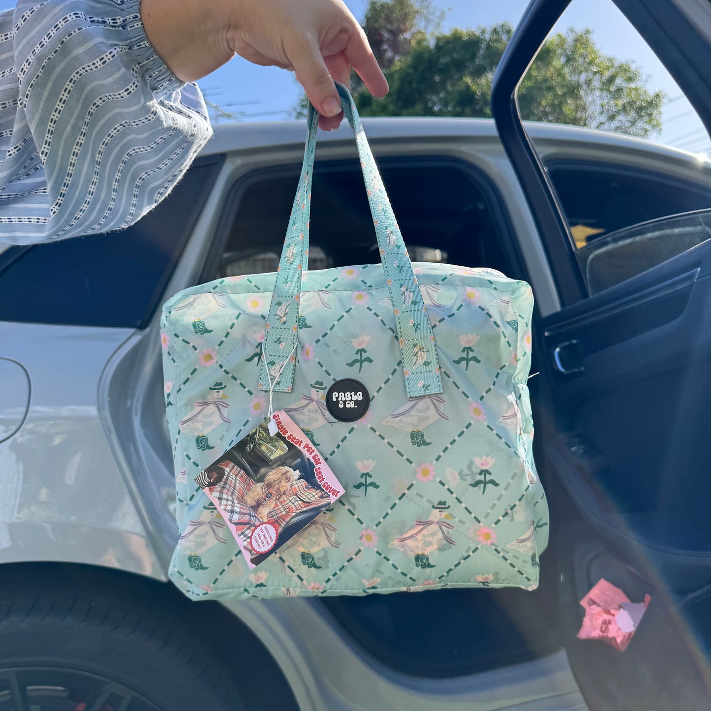 Silly Little Goose: Deluxe Single Car Seat Cover