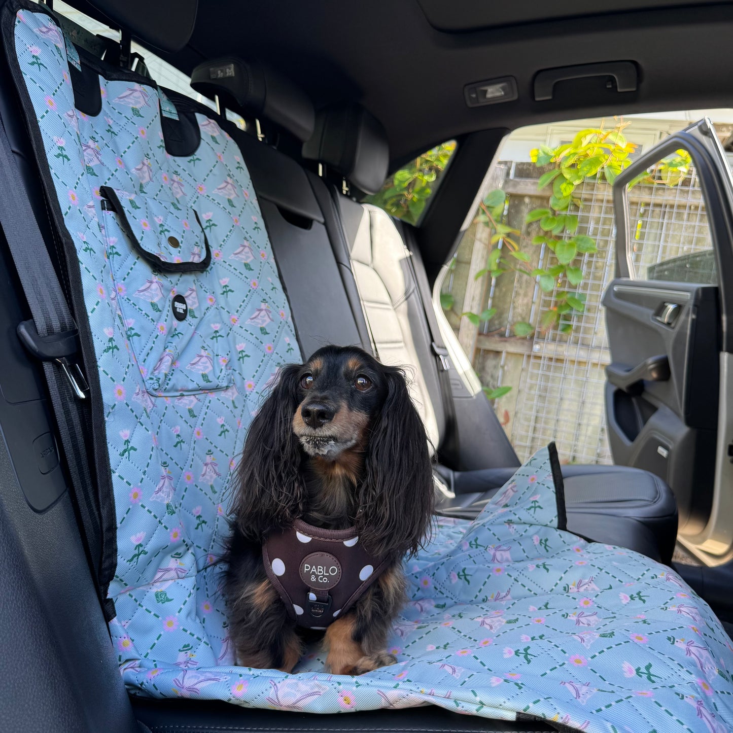 Silly Little Goose: Deluxe Single Car Seat Cover