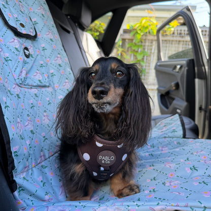 Silly Little Goose: Deluxe Single Car Seat Cover