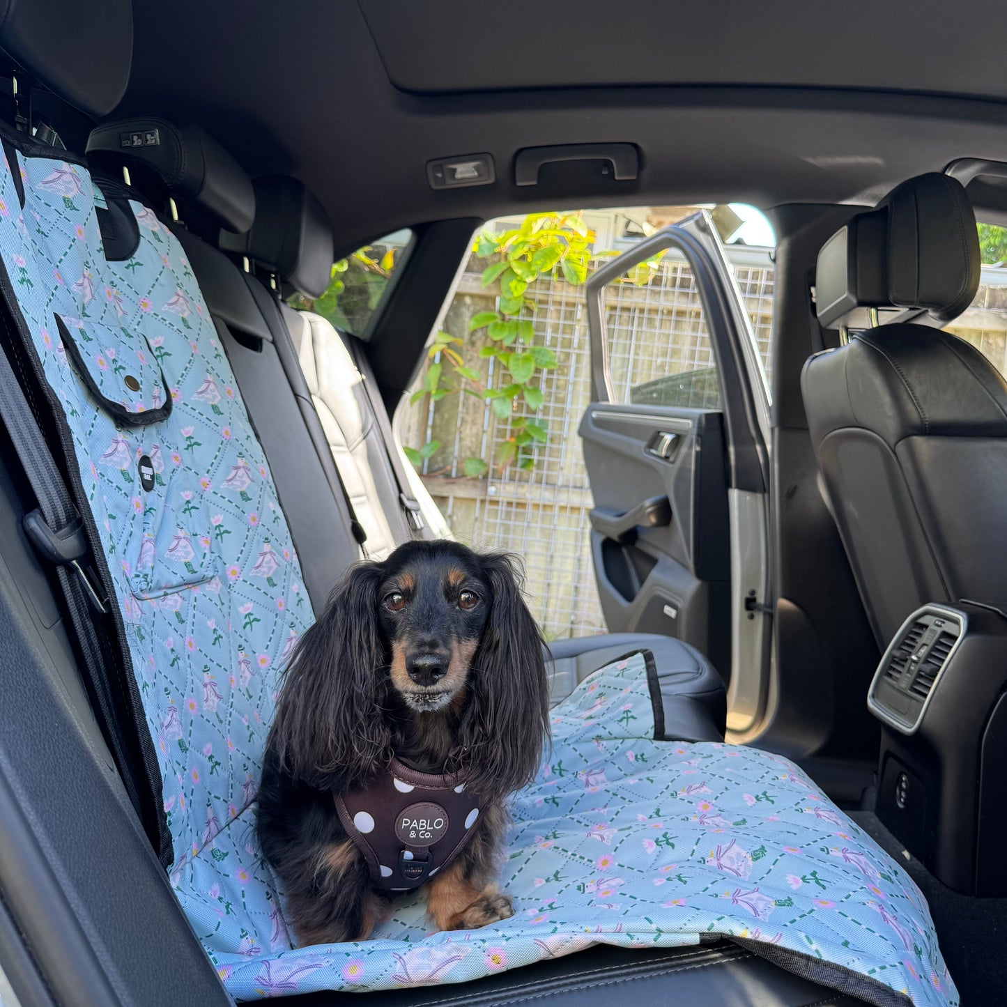 Silly Little Goose: Deluxe Single Car Seat Cover