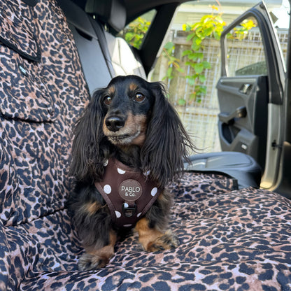 Leopard: Deluxe Single Car Seat Cover