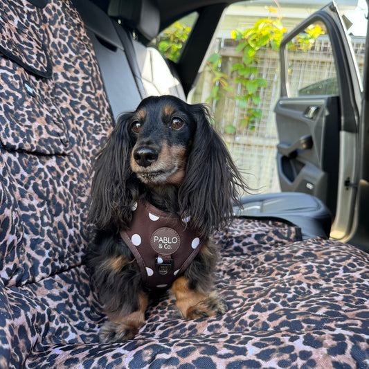 Leopard: Deluxe Single Car Seat Cover