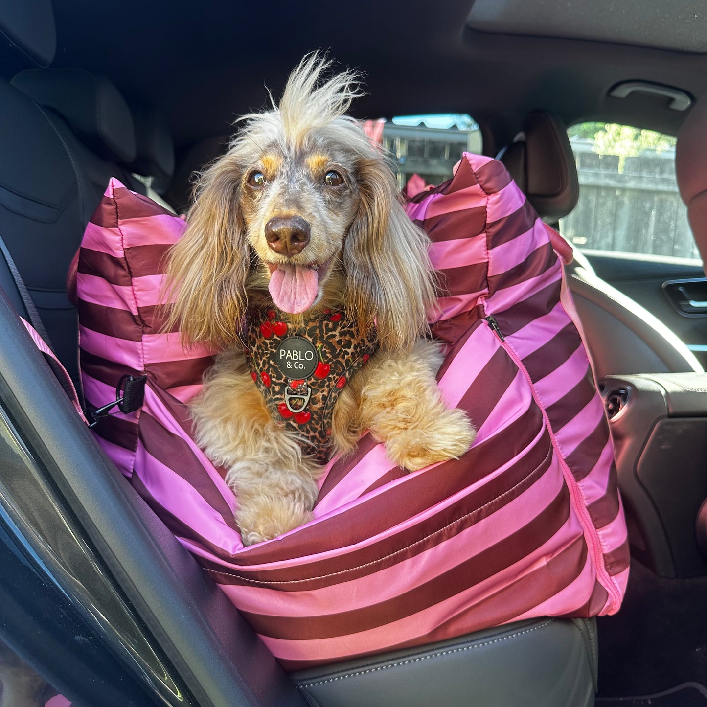 Deluxe Travel Car Bed: Blushing Stripes