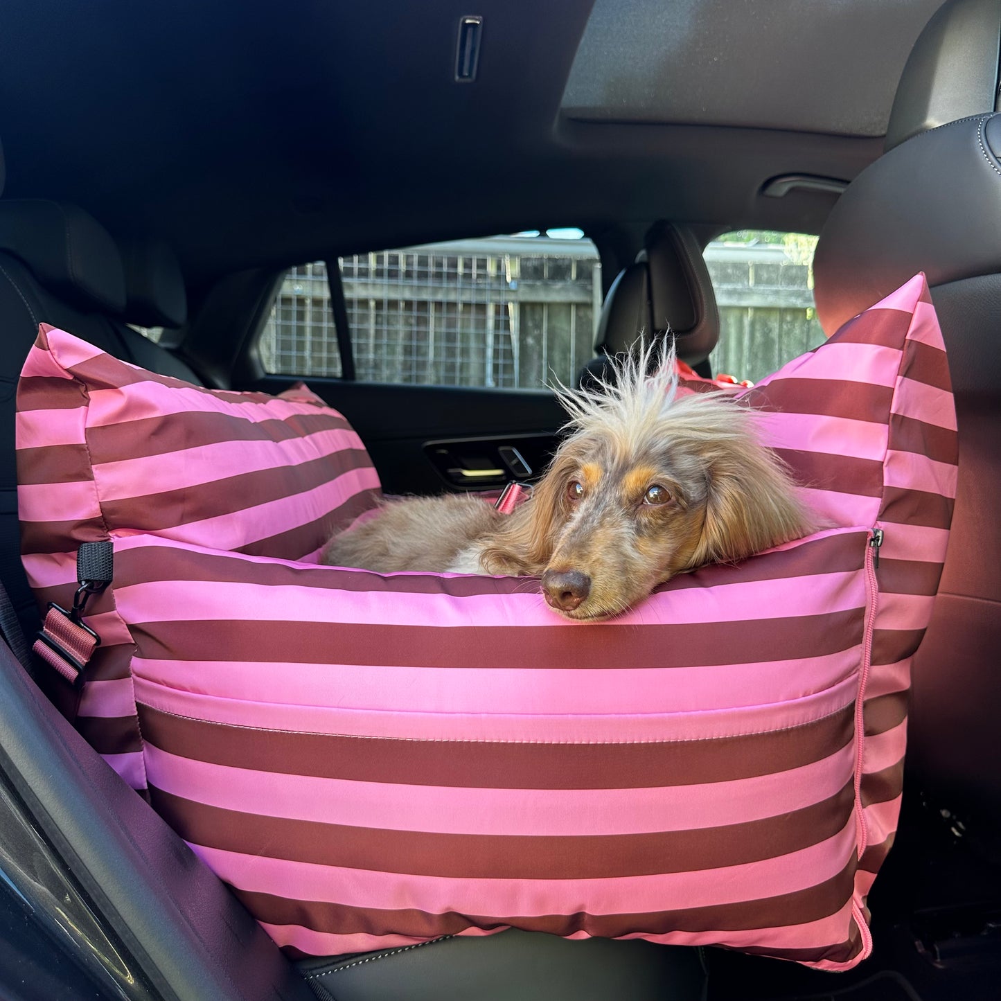 Deluxe Travel Car Bed: Blushing Stripes