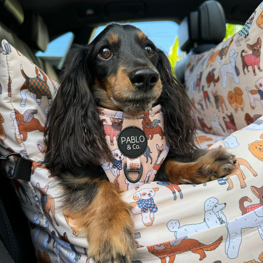 Deluxe Travel Car Bed: Winter Pooches