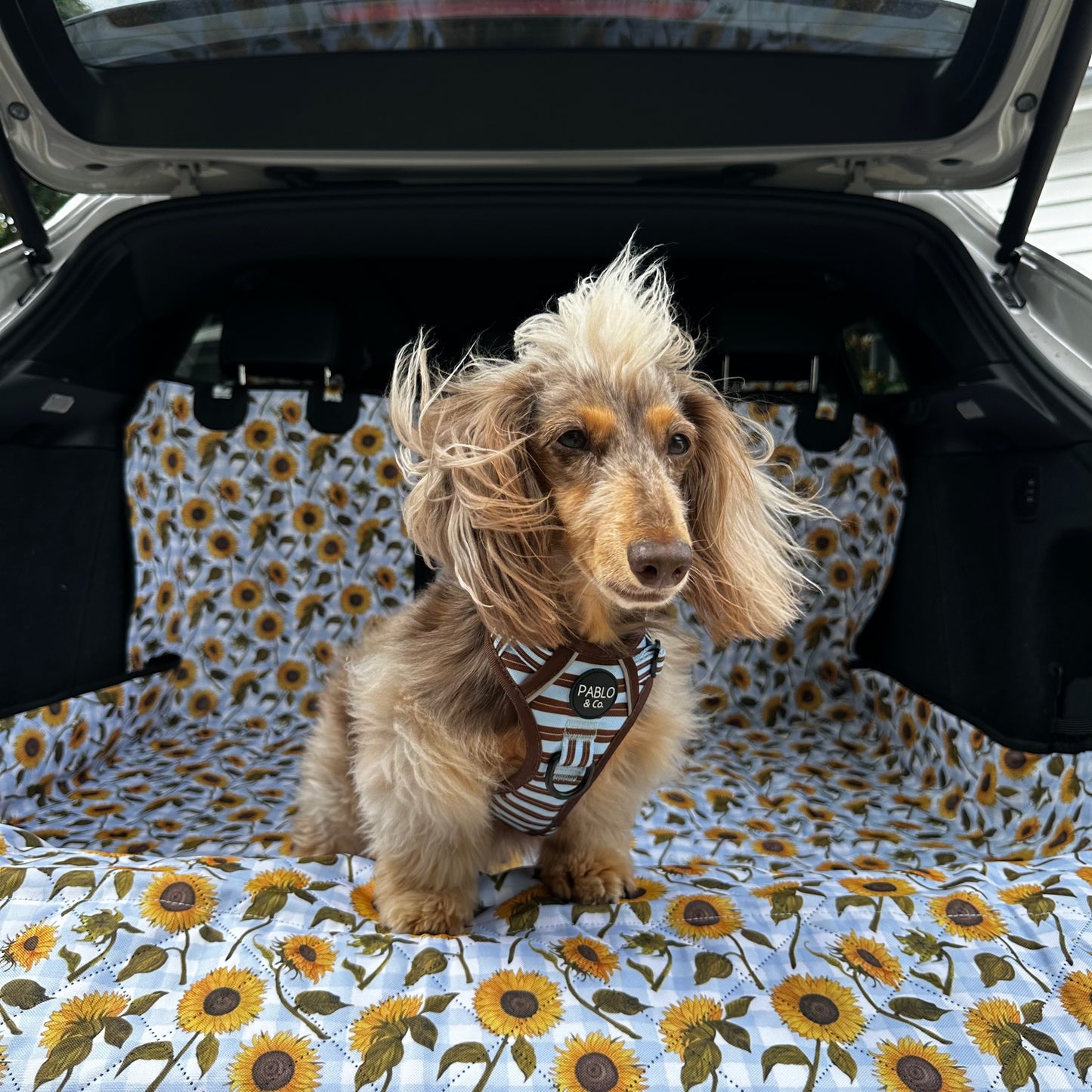 Sunny Sunflowers: Deluxe Car Boot Cover
