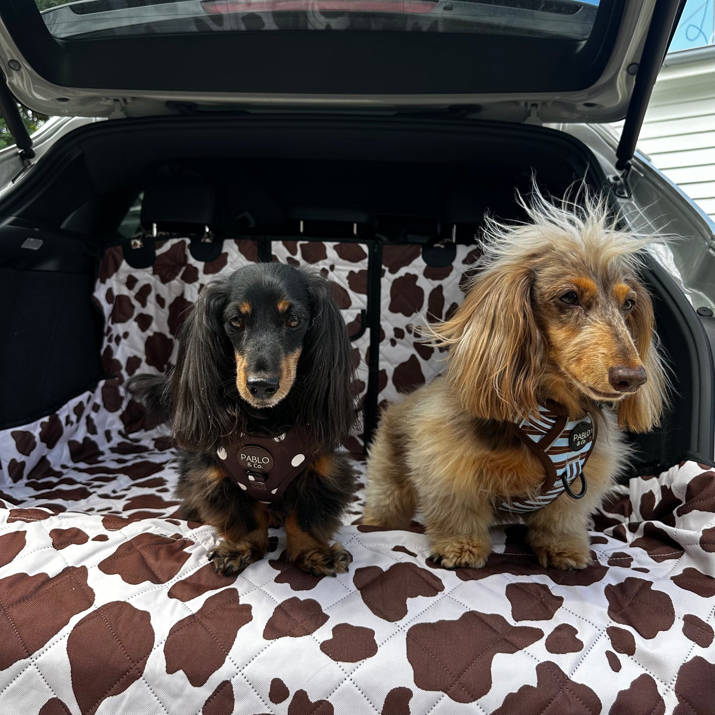 Rodeo: Deluxe Car Boot Cover