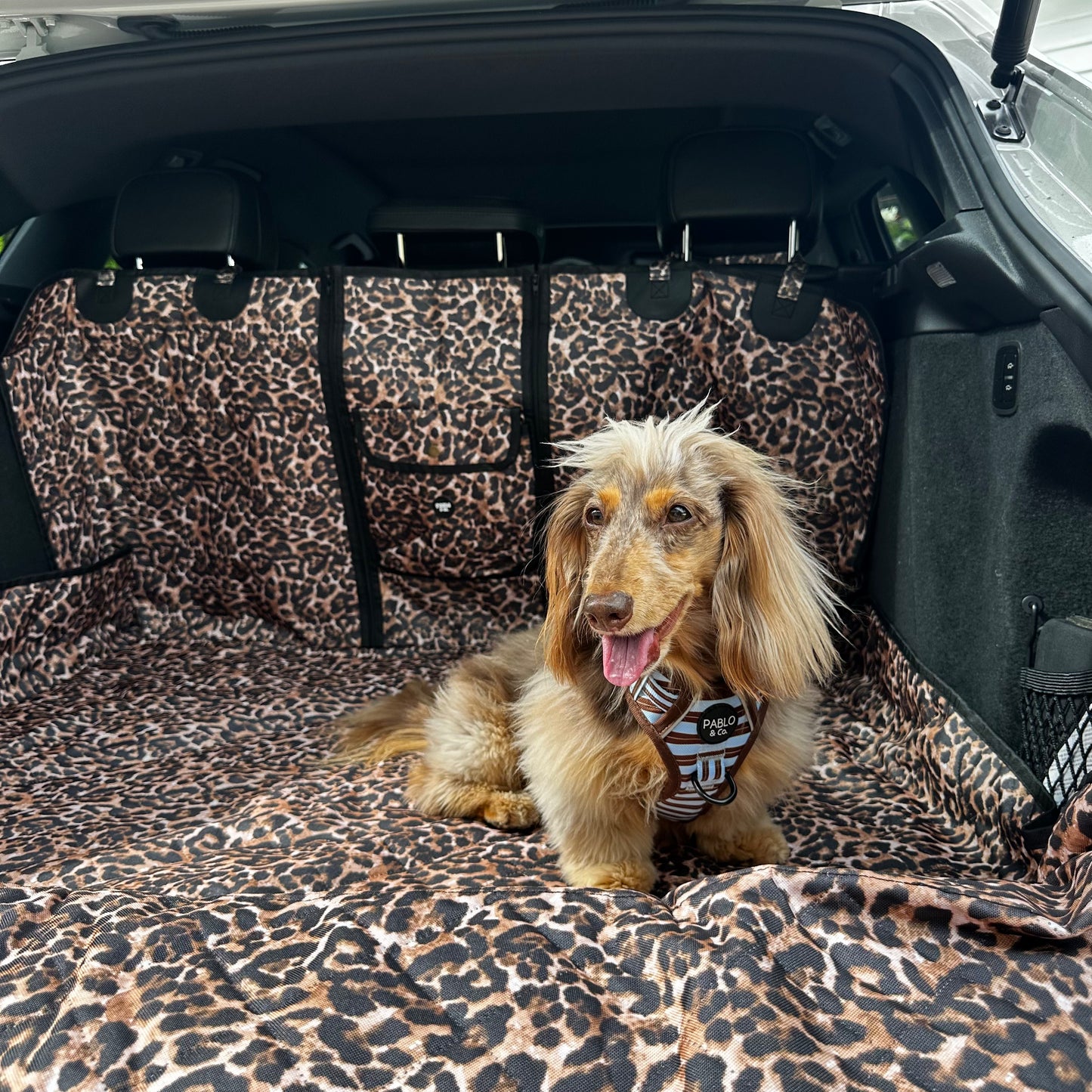 Leopard: Deluxe Car Boot Cover