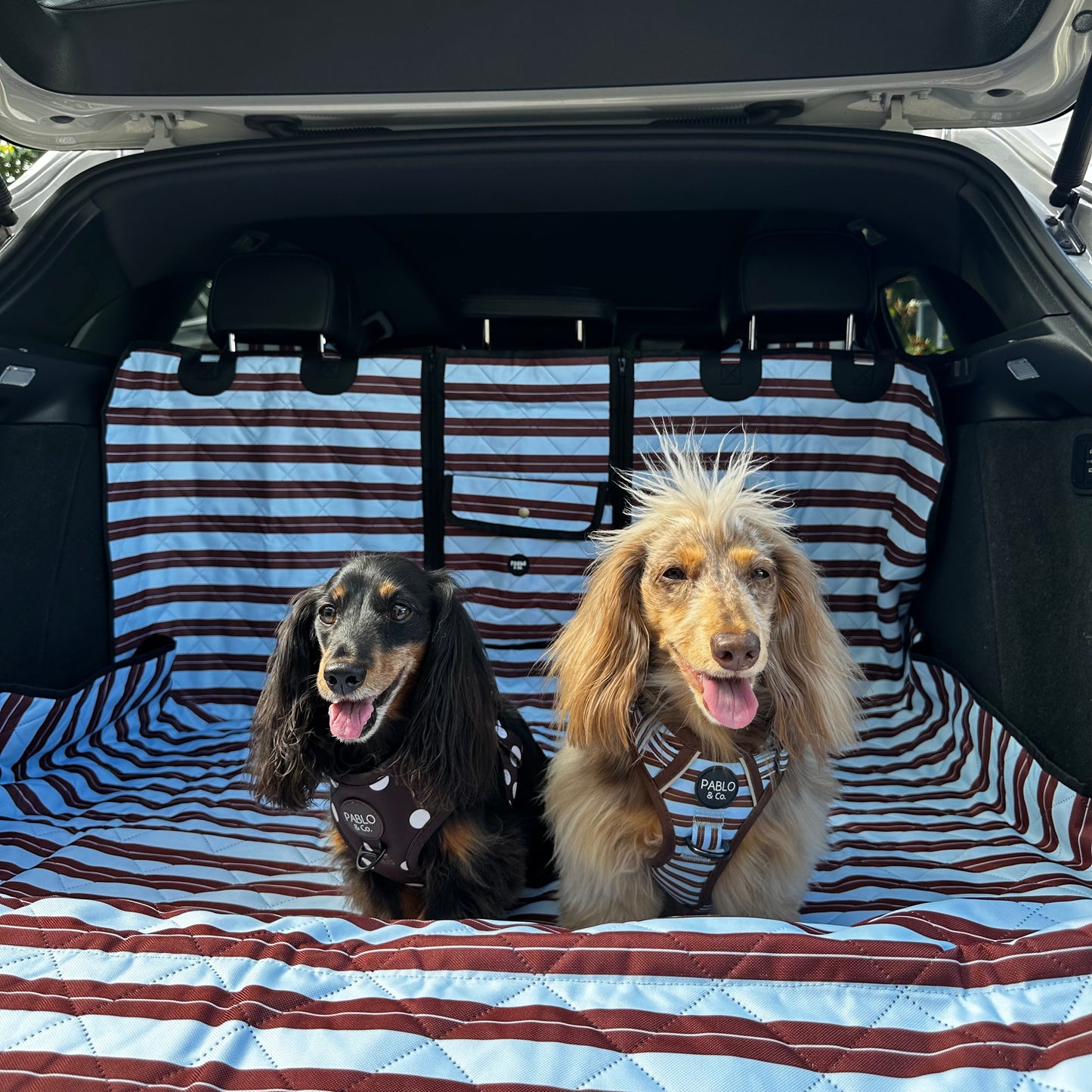 Sunday Stripes: Deluxe Car Boot Cover