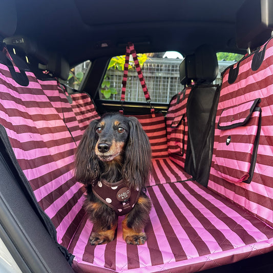 Blushing Stripes: Deluxe Hammock Car Seat Cover