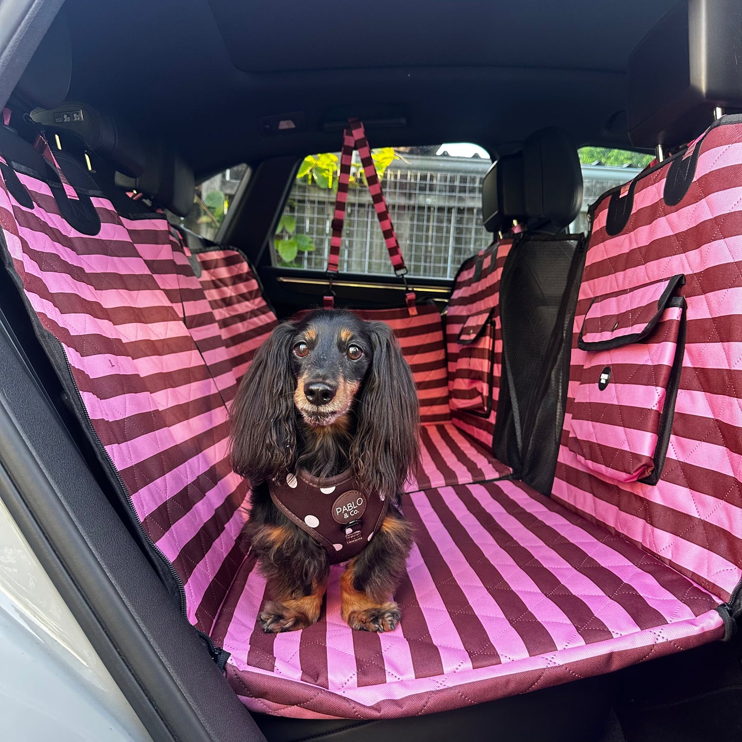 Blushing Stripes: Deluxe Hammock Car Seat Cover