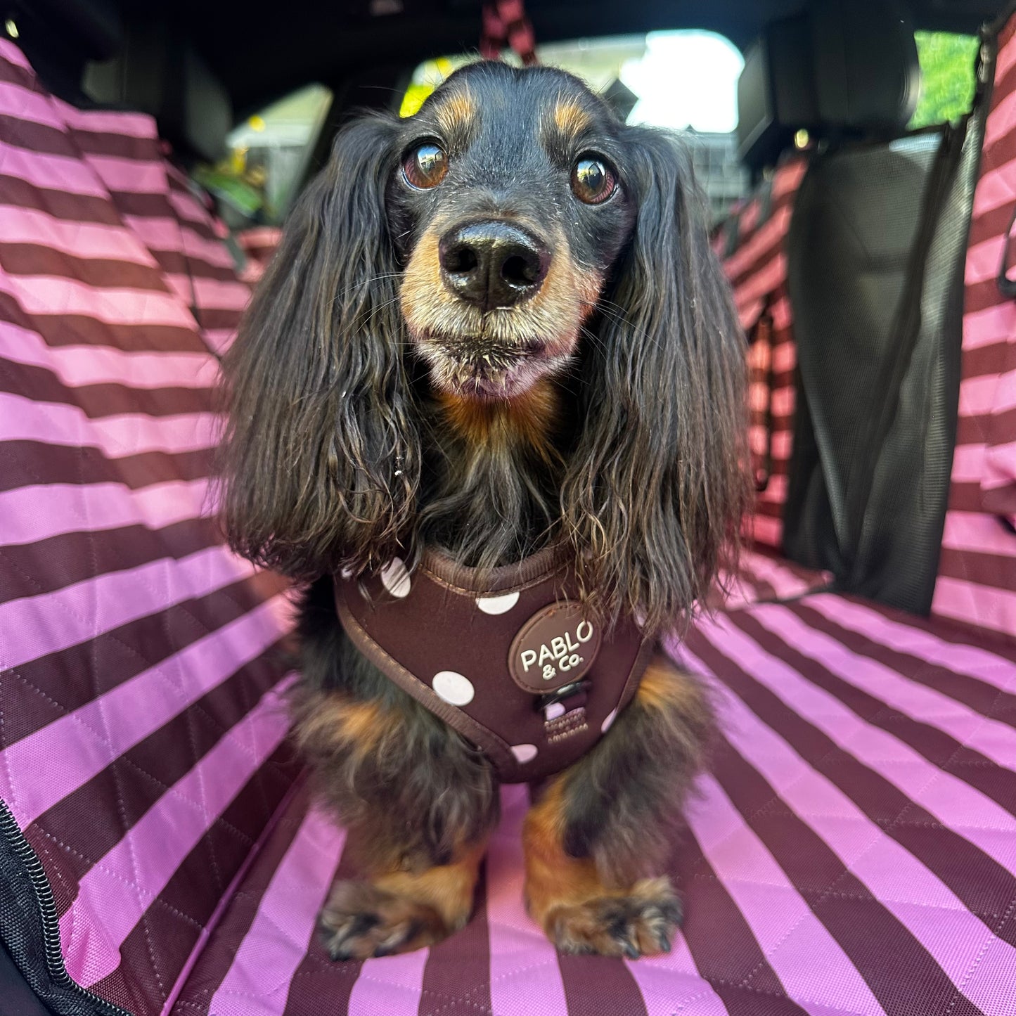 Blushing Stripes: Deluxe Hammock Car Seat Cover