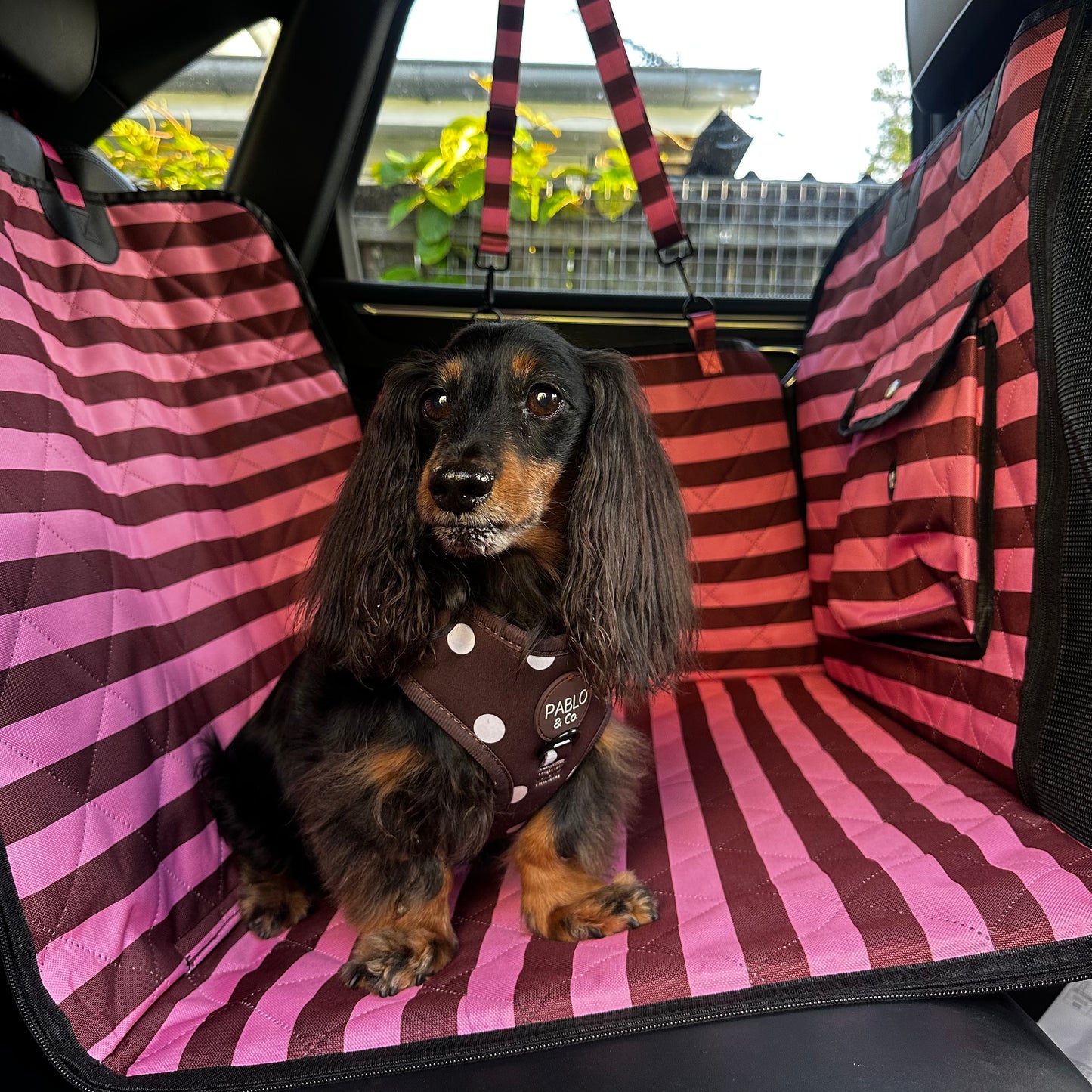 Blushing Stripes: Deluxe Hammock Car Seat Cover