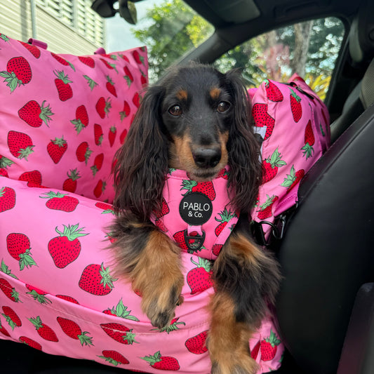 Deluxe Travel Car Bed: Strawberries