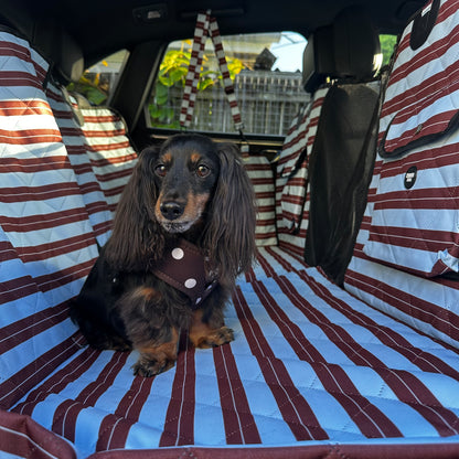 Sunday Stripes: Deluxe Hard Base Hammock Car Seat Cover