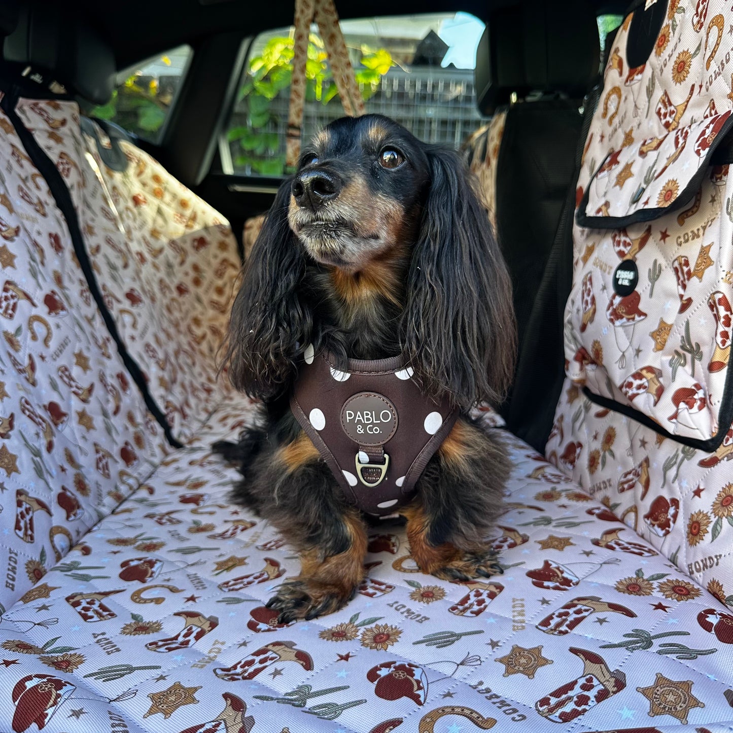 Howdy: Deluxe Hard Base Hammock Car Seat Cover