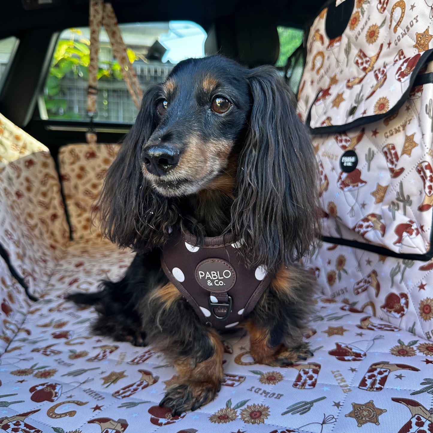 Howdy: Deluxe Hard Base Hammock Car Seat Cover