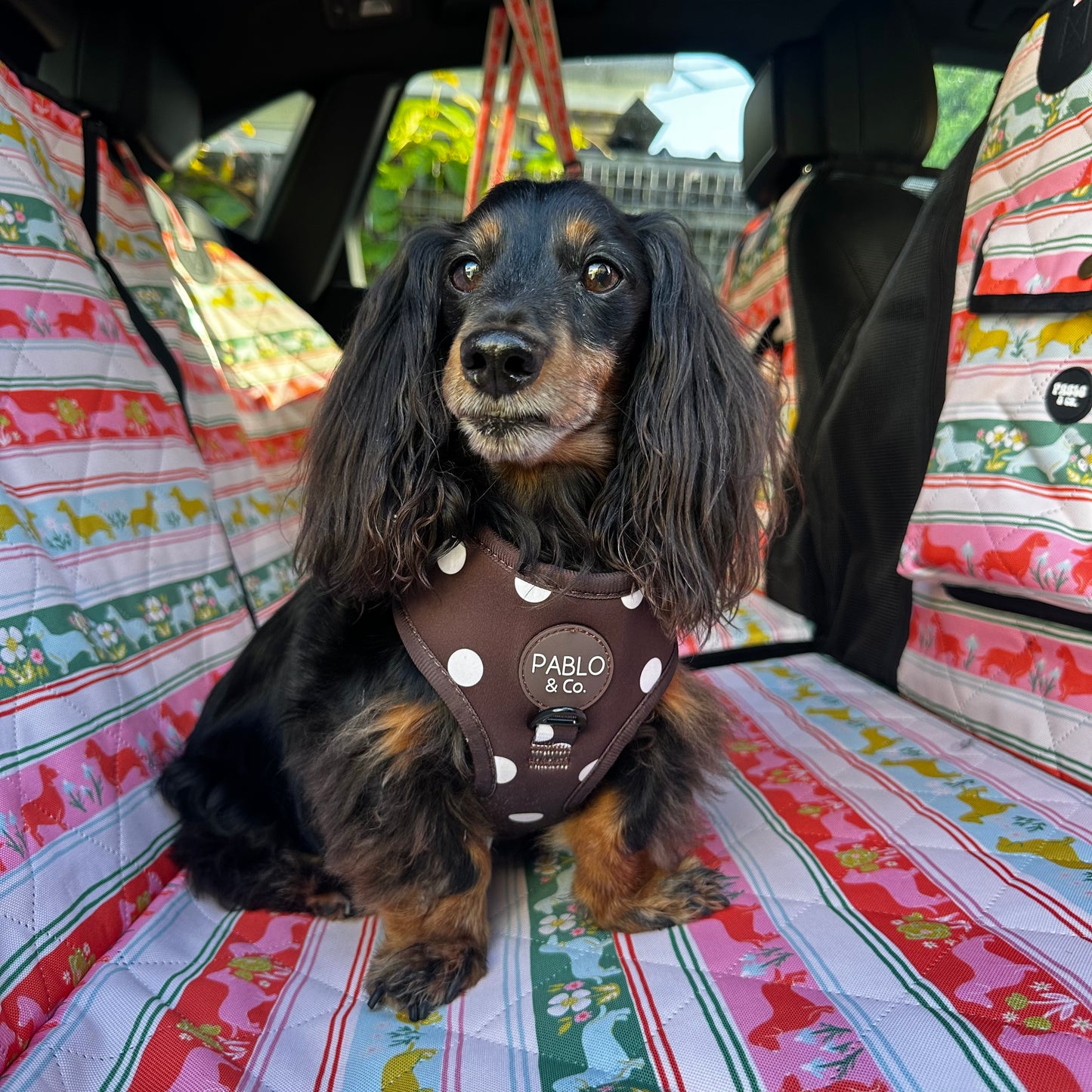 The Blooming Dachshund: Deluxe Hard Base Hammock Car Seat Cover