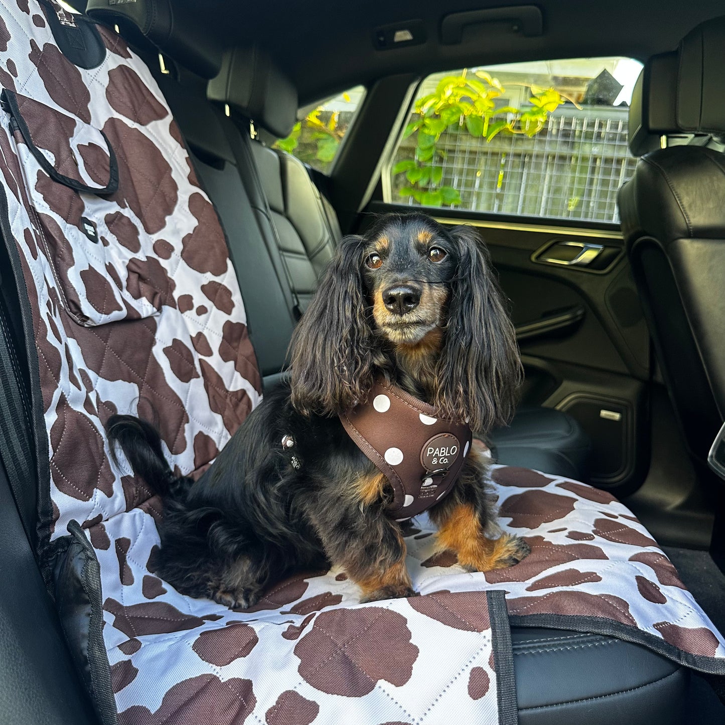 Rodeo: Deluxe Single Car Seat Cover