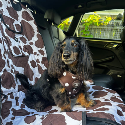 Rodeo: Deluxe Single Car Seat Cover