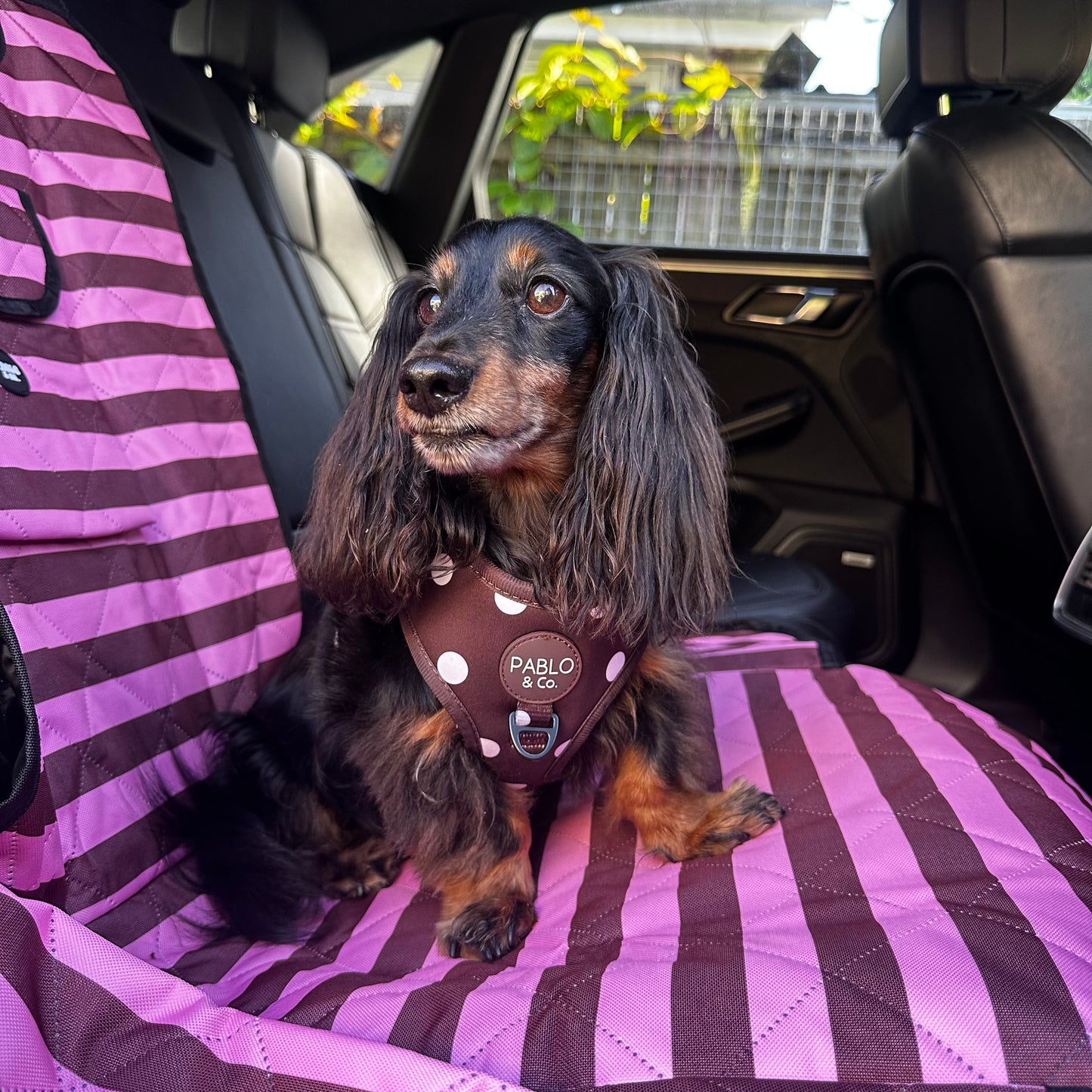 Blushing Stripes: Deluxe Single Car Seat Cover