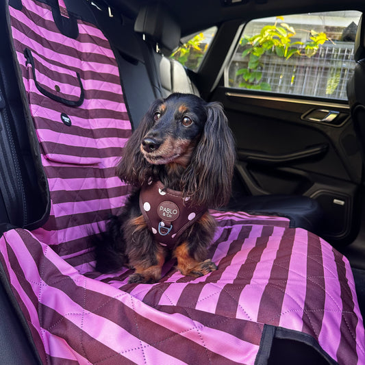 Blushing Stripes: Deluxe Single Car Seat Cover