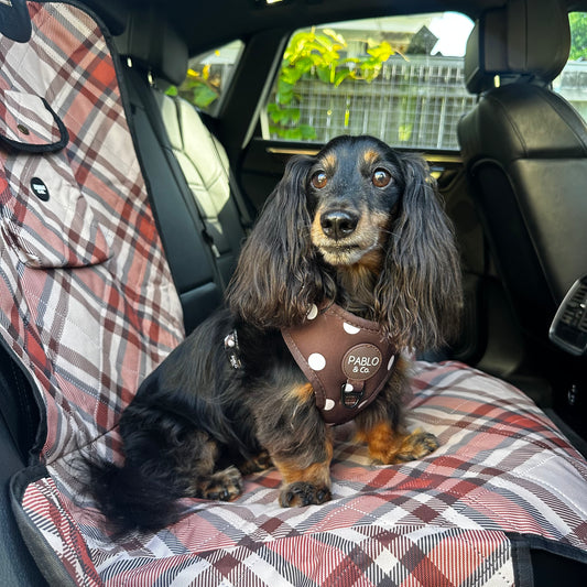 Kensington: Deluxe Single Car Seat Cover