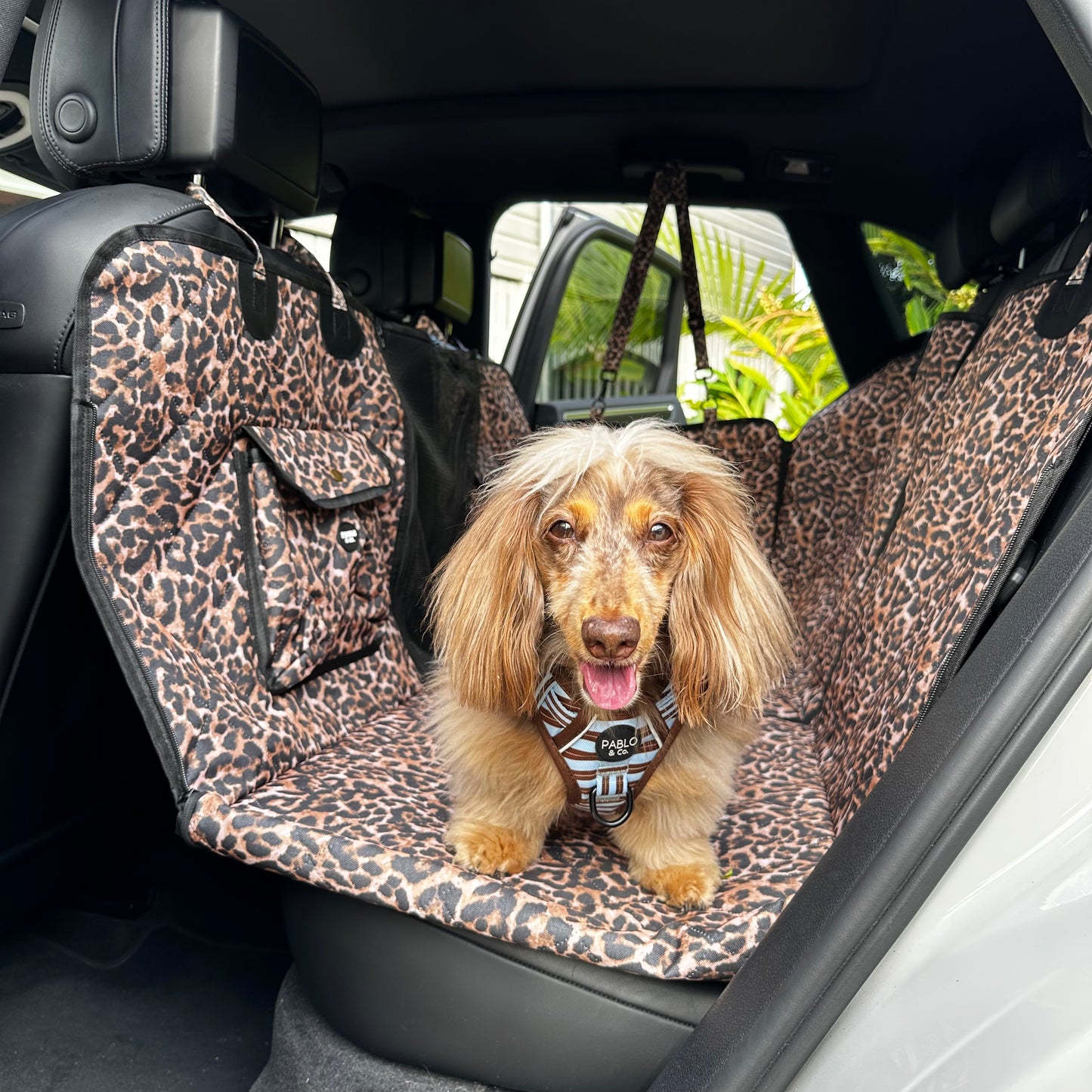 Leopard: Deluxe Hard Base Hammock Car Seat Cover