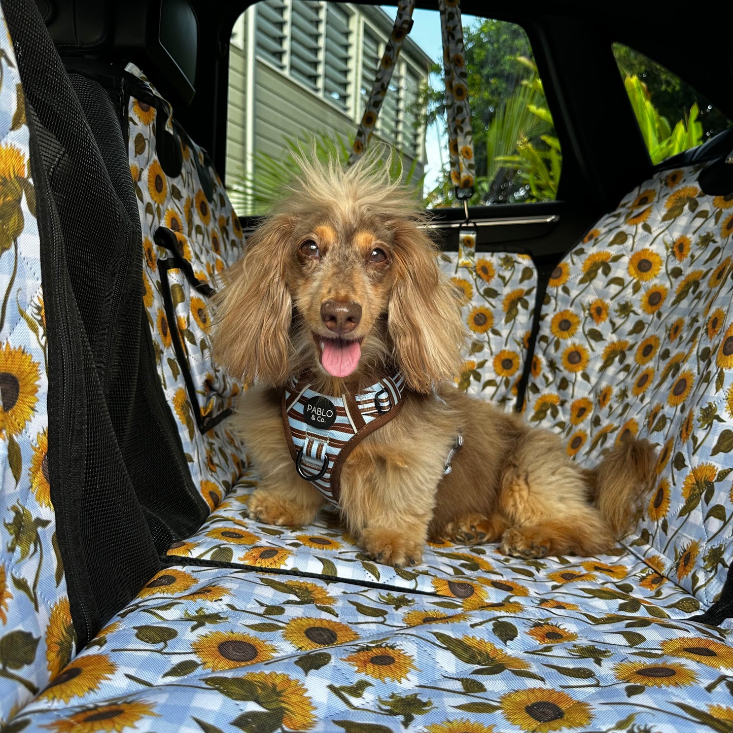 Sunny Sunflowers: Deluxe Hard Base Hammock Car Seat Cover