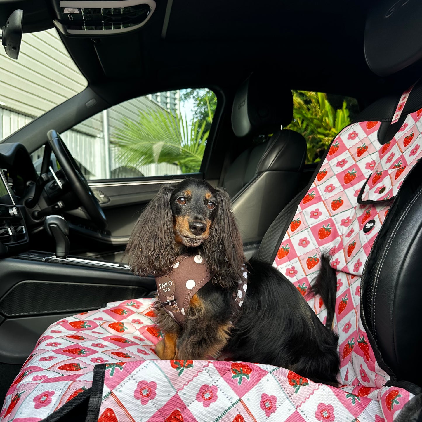 Strawberry Patch: Deluxe Single Car Seat Cover