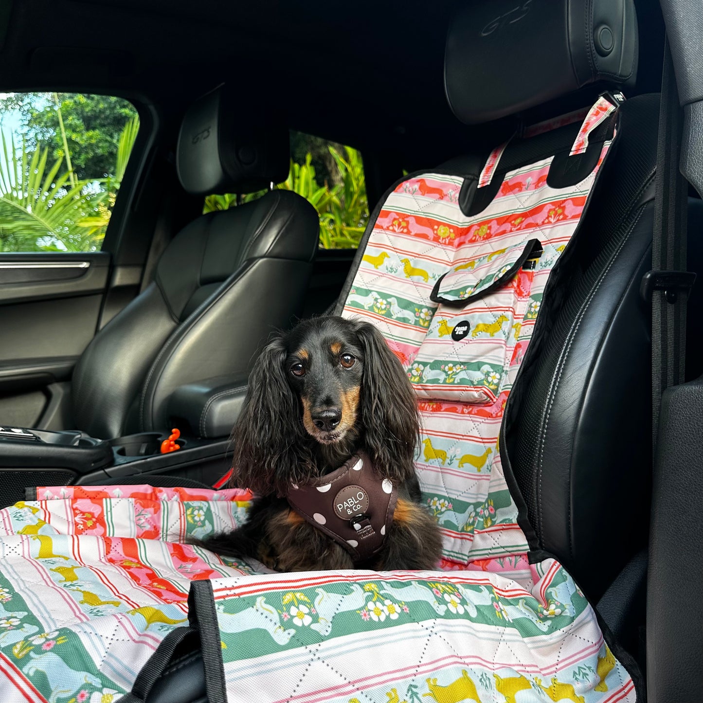 The Blooming Dachshund: Deluxe Single Car Seat Cover