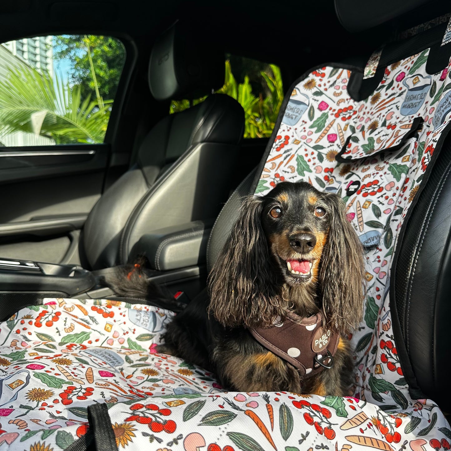 Farmers Market: Deluxe Single Car Seat Cover