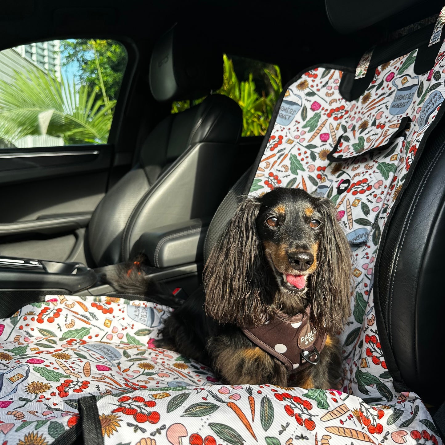 Farmers Market: Deluxe Single Car Seat Cover