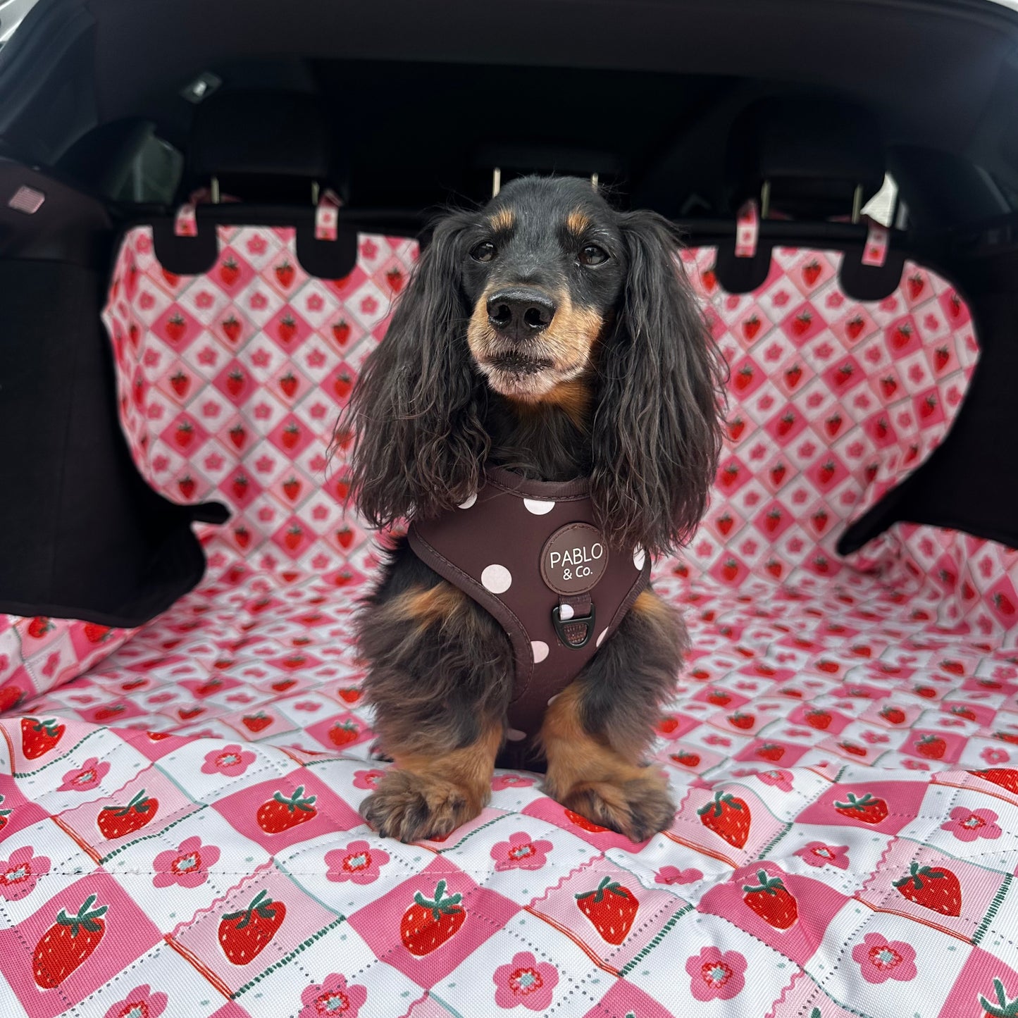 Strawberry Patch: Deluxe Car Boot Cover