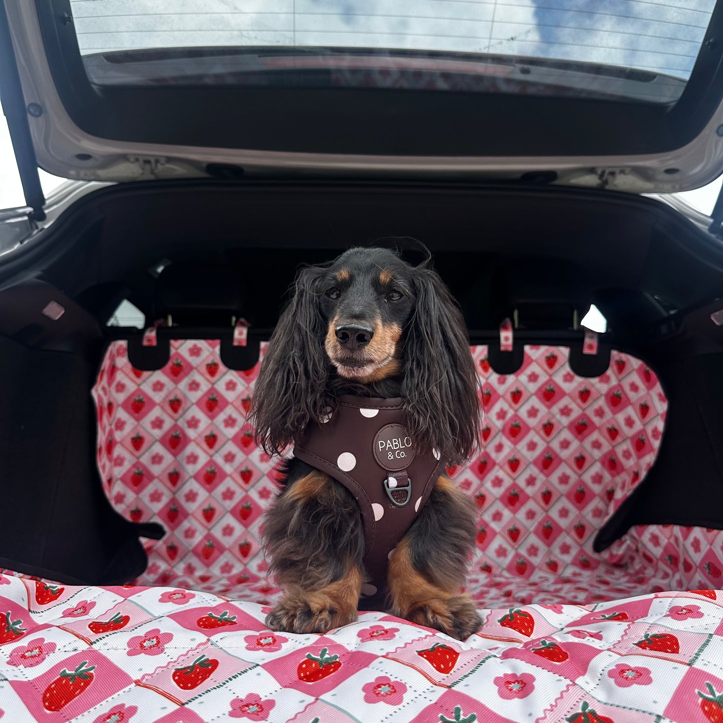Strawberry Patch: Deluxe Car Boot Cover