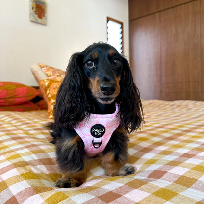 Pink Houndstooth: Adjustable Harness