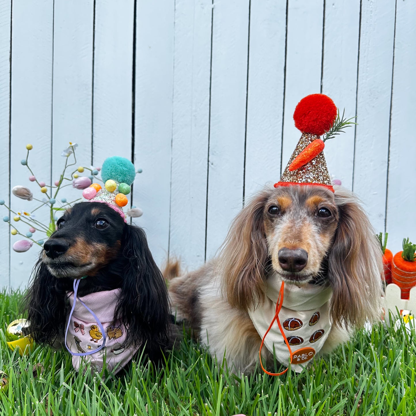 Hot Cross Buns: Velvet Dog Bandana