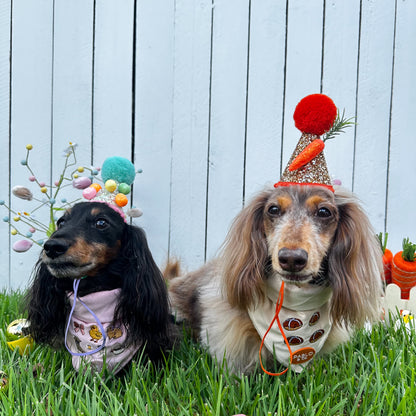 Hot Cross Buns: Velvet Dog Bandana