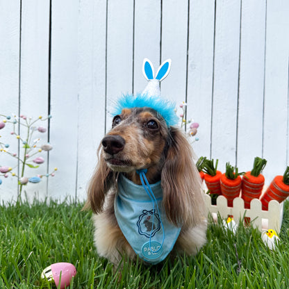 Pablo's Easter Pawty Hat: Blue Easter Bunny
