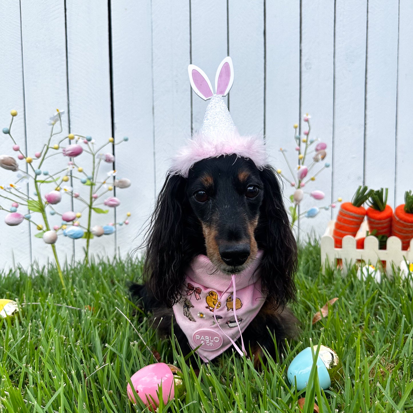 Pablo's Easter Pawty Hat: Pink Easter Bunny