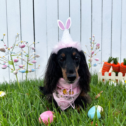 Pablo's Easter Pawty Hat: Pink Easter Bunny