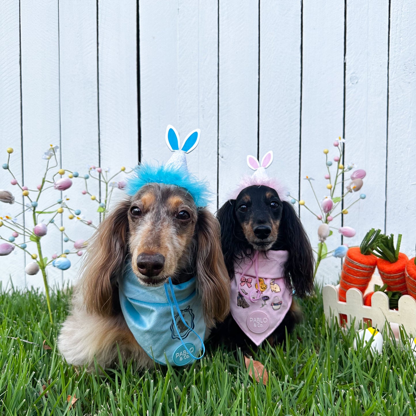 Pablo's Easter Pawty Hat: Pink Easter Bunny