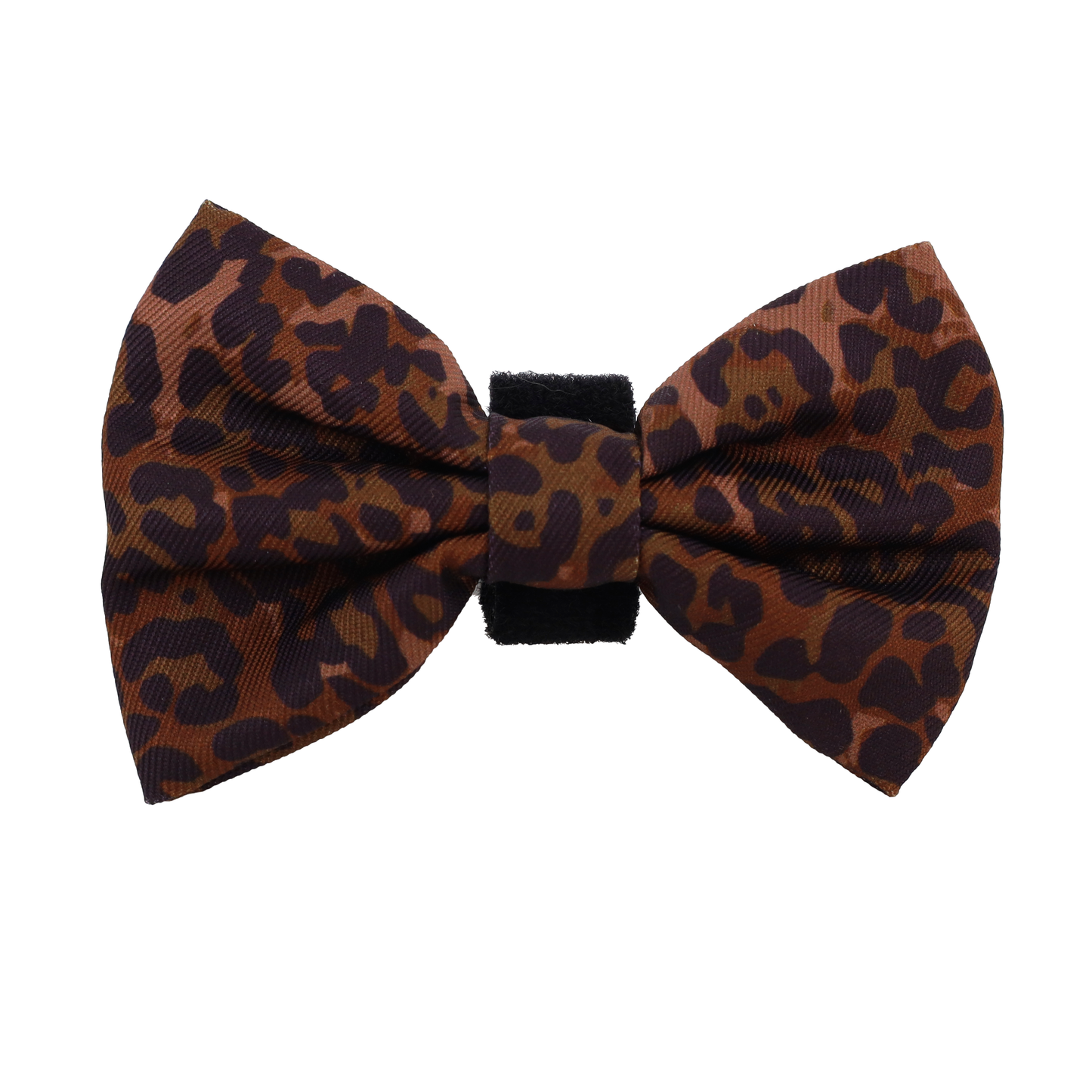 Leopard: Bow Tie