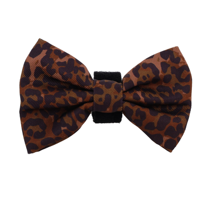 Leopard: Bow Tie